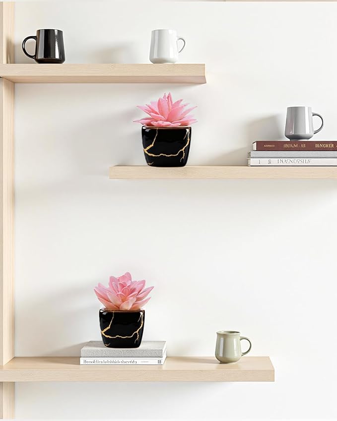 Artificial Succulent in 2PCS Black Ceramic Pot, Small Fake Succulents Plants for Office and Desk Decor,Bathroom, Bedroom, Shelves, Vanity for Women