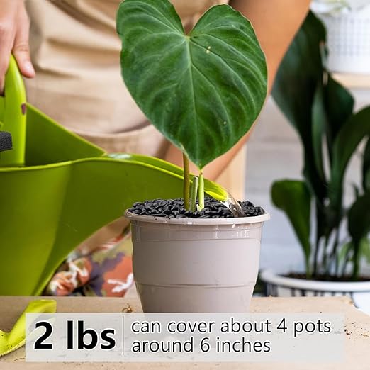 2LB Succulent and Cactus Black Pebbles, 3/8 Inch Natural Decorative Polished Stones, River Rocks for Indoor Plants, Vases, Planters and Outdoor Gardening