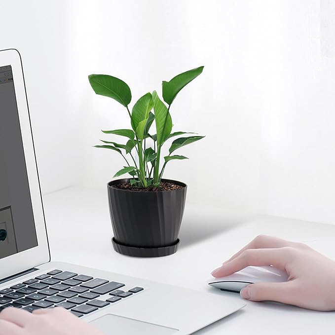 6 Inch Plant Pots Bulk, 6 Pack Plastic Planters with Drainage Holes and Saucers for Indoor Outdoor House Plants and Flowers, Black