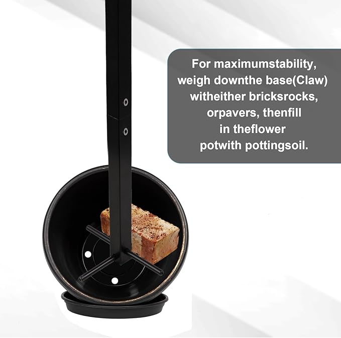 Premium Dragon Fruit Trellis - Durable Metal Trellis for Vertical Gardening and Climbing Plants - 12in x 12in x 50in