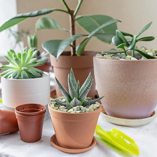 10LB Succulent and Cactus Jade Pebbles, 3/8 Inch Natural Decorative Polished Stones, River Rocks for Indoor Plants, Vases, Planters and Outdoor Gardening