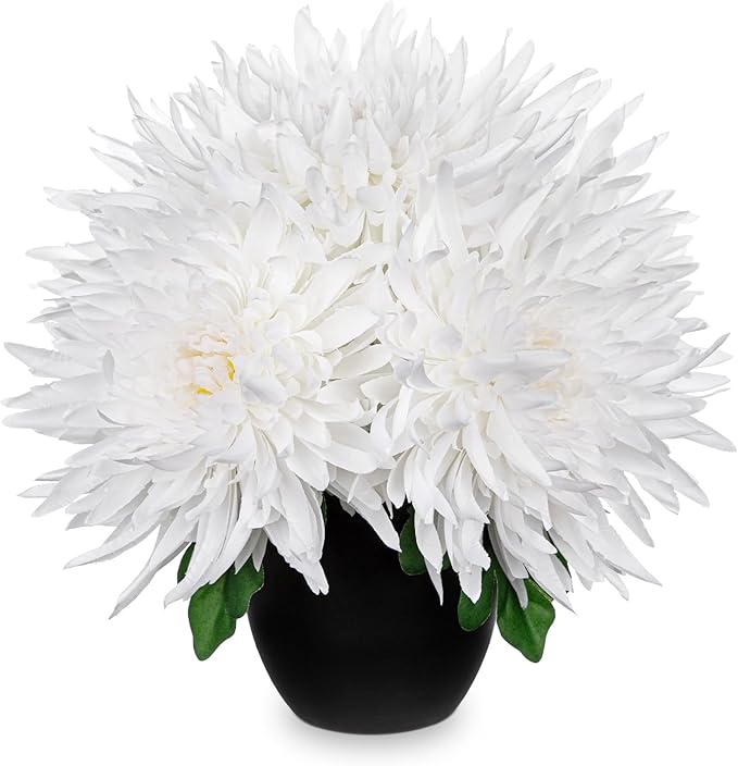 Hollyone Artificial Mums Flowers in Vase Faux Chrysanthemum Silk Flower Potted Plant Fake Plants & Flowers with Pot Floral Arrangements Bouquets Pincushion Spider Mum Flower Home Decor White