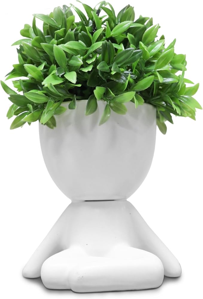 Zerzsy Mini Succulent Plant - Plants Gift - Cute Office Decor for Women - Office Decorations for Work DeskWomen - Desk Plants Decorations for Shelf- Set of 1