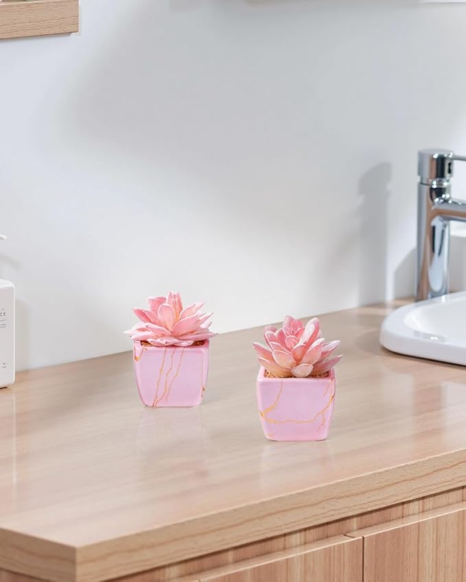 Artificial Succulent in 2PCS Pink Ceramic Pot, Small Fake Succulents Plants for Office and Desk Decor,Bathroom