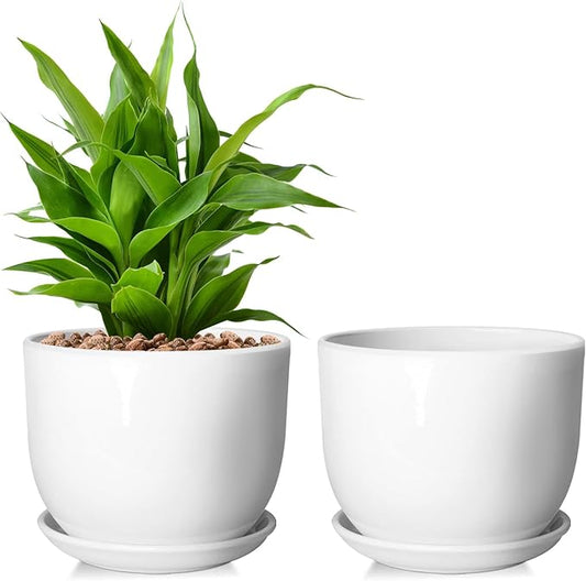 Ceramic Plant Pots,White 6.7 Inch Flower Pots for Plants,Ceramic Planter with Drainage Holes,Indoor Planter Pots with Saucer,Outdoor Garden Pots (White, 2 Pack)