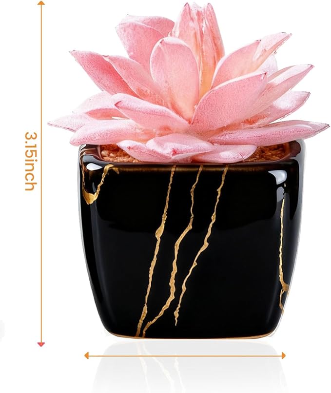 Artificial Succulent in 2PCS Black Ceramic Pot, Small Fake Succulents Plants for Office and Desk Decor,Bathroom, Bedroom, Shelves, Vanity for Women