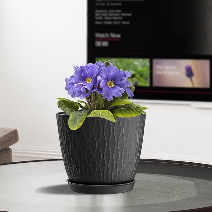 6 Inch Plant Pots, 6 Pack Flower Pots for Indoor and Outdoor Use, Planters with Drainage Holes and Saucers, Black