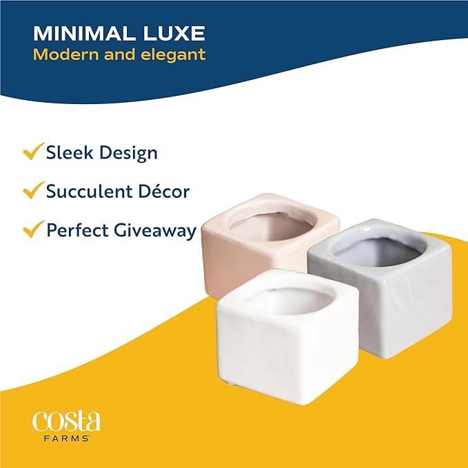 Costa Farms Mini Succulents (3-Pack), Assorted Live Indoor Succulent Plants in Cute Decor Planters, Grower's Choice Easy Care Houseplants, Tabletop, Office, Desk, or Room Decor, 2-Inches Tall, ceramic