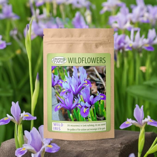 Created By Nature Wild Iris Seeds, 400 Purple Perennial Flower Seeds