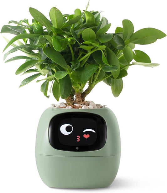 Smart pet Planter Robot Guidance on Plant Care with Emojis, Adorable Plant Companion with Rich Gesture Interaction, Neat Desk Setup Gift (Green)
