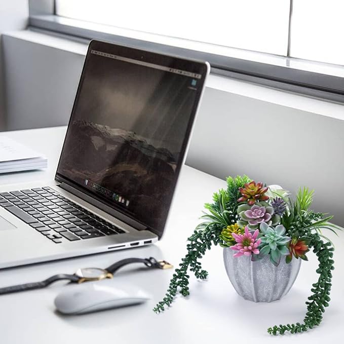 24 Pack Artificial Succulents Unpotted Succulents Plants Artificial Fake Succulents Hanging String of Pearls Small Aloe Cactus Plants for Indoor and Outdoor Home Office Garden Decoration