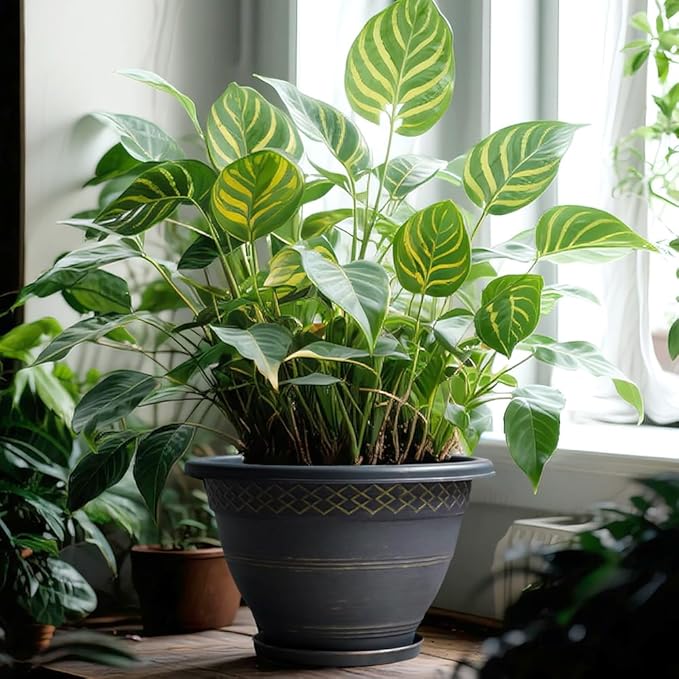 4 Pack 12 Inch Large Plant Pots, Plastic Flower Pot for Indoor & Outdoor with Drainage Holes & Saucer, Plaid Pattern Planters Garden Pots for Herbs