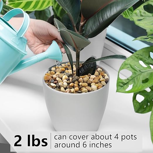 2LB Succulent and Cactus Gravel Pebbles, 3/8 Inch Decorative Polished Stones, River Rocks for Plants, Vases, Aquariums, Terrarium and Outdoor Gardening, Natural