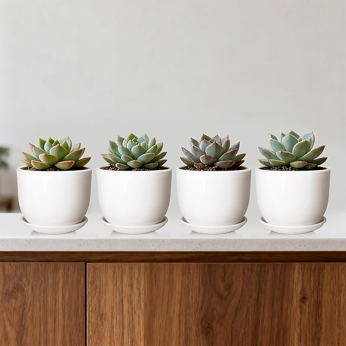 Ceramic Plant Pots,White 5.5 Inch Flower Pots for Plants,Ceramic Planter with Drainage Holes,Indoor Planter Pots with Saucer,Outdoor Garden Pots (White, 4 Pack)