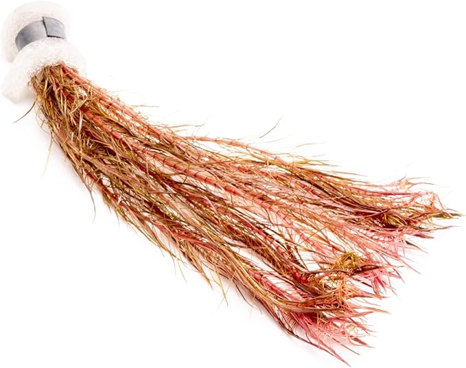 SubstrateSource Live Aquarium Stem Plants - Freshwater Aquatic Plant for Fish Tanks, Aquascaping - (Alternanthera Red Broad Leaf, 1 Bunch)