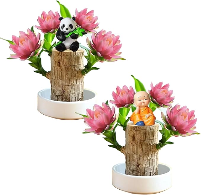 Brazilian Lucky Wood Kit with Monk, Grow Your Own Luck,Easy to Maintain Mini Brazil Woods for Indoor/Outdoor, Bedroom, Kitchen, Office Desk, Garden and Other Decorations (2A)
