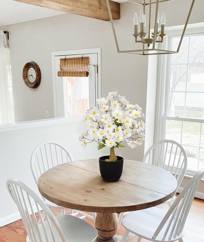 DILATATA Faux Cherry Blossom Bonsai Tree 16 inch Small Artificial Bonsai Tree for Home Decor White Apple Blossom Tree for Indoor Bookshelf Office Desk Bathroom Decor