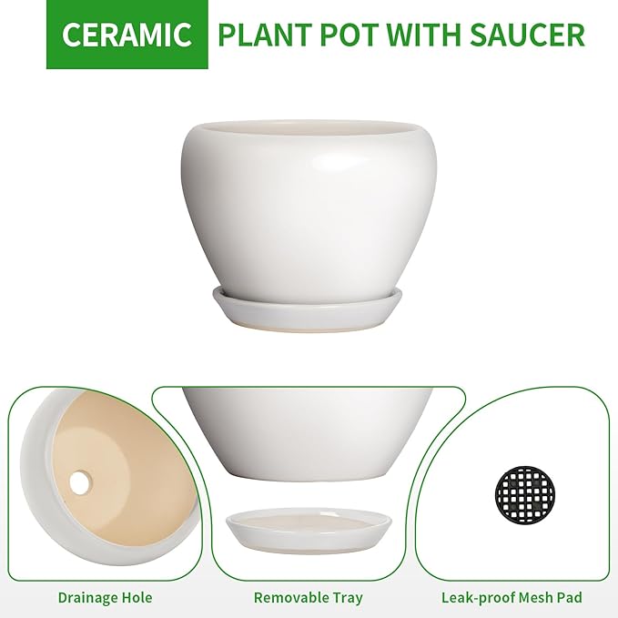 Deep Dream 8 Inch Plant Pot - Ceramic Planter with Drainage Hole and Trays, Modern Round Flower Pot, Planters for Indoor Outdoor Plants, Home Garden Decor, White