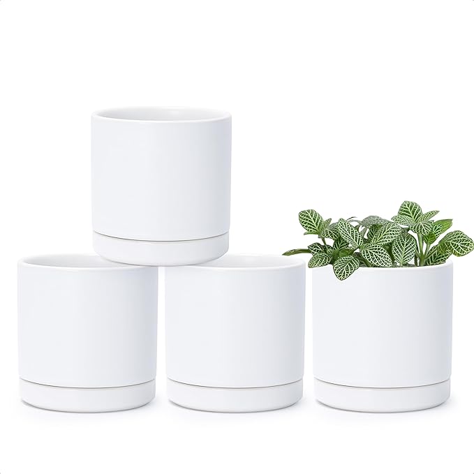 D'vine Dev Set of 4 Small Ceramic Plant Pots, 3.5 Inch Succulent Planter Pot for Plants with Drainage Hole and Saucer, White, 94-X-A-1