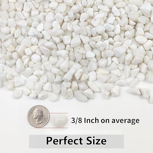 5LB Succulent and Cactus Gravel Pebbles, 3/8 Inch Natural Decorative Polished Stones, River Rocks for Plants, Vases, Aquariums, Terrarium and Outdoor Gardening, White