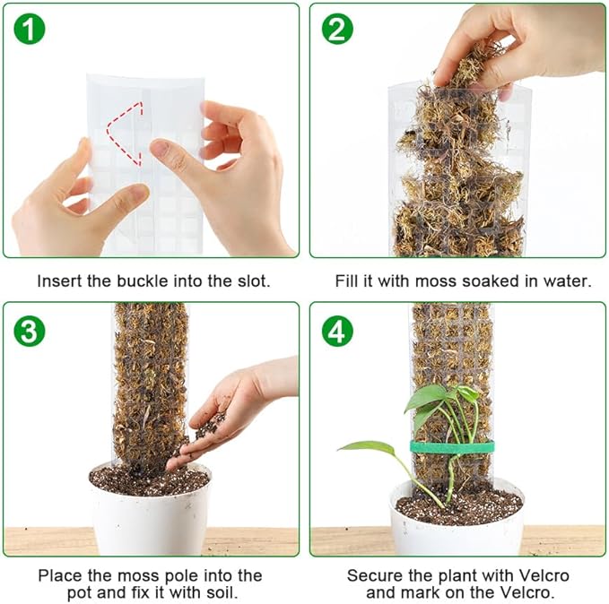 Bonviee 2 Pcs 24 Inch + 2 Pcs 36 Tall Plastic Moss Poles for Monstera – Large D-Shaped Climbing Plant Support, Works with Sphagnum Moss, Includes 2 Garden Ties