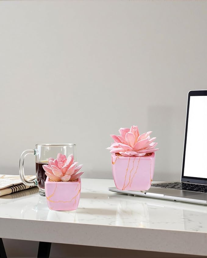 Artificial Succulent in 2PCS Pink Ceramic Pot, Small Fake Succulents Plants for Office and Desk Decor,Bathroom