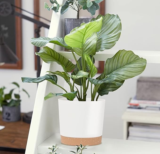 kubvici Indoor Plant Pots Planters 8 inch Plastic Planter with Hole & Saucer Flower Pots Modern Decorative for Outdoor Garden Home (White x 3 Pack)