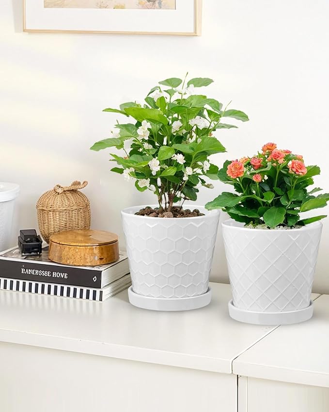 EFISPSS Ceramic Plant Pots, 6 Inch Pots for Indoor Plants, Planters with Drainage Hole and Saucer, Flower Pots Desktop Office Windowsill Decoration Gift Set of 2 - White