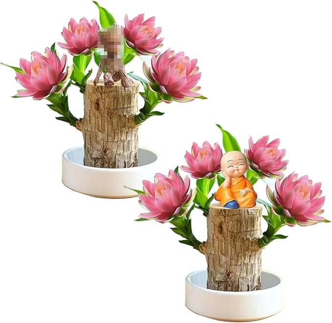 Brazilian Lucky Wood Kit with Monk, Grow Your Own Luck,Easy to Maintain Mini Brazil Woods for Indoor/Outdoor, Bedroom, Kitchen, Office Desk, Garden and Other Decorations (2F)