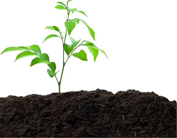 Old Potters Organic Compost - Plant Based Potting Soil - Home, Garden Fertilizer - Complete Food - Boosts Plant Growth - Use for Indoor and Outdoor Farming ~25 lbs (24 Quarts)