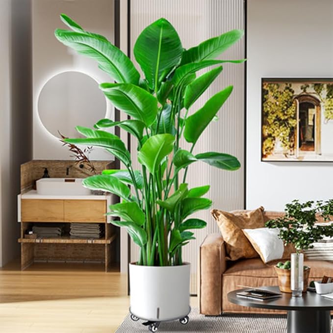 Plant Stand with Wheels,3.0mm Thick Aluminum Alloy Plant Caddy with Wheels Heavy Duty, Rolling Plant Stand Holds 12 Inch and 500lbs(Black)