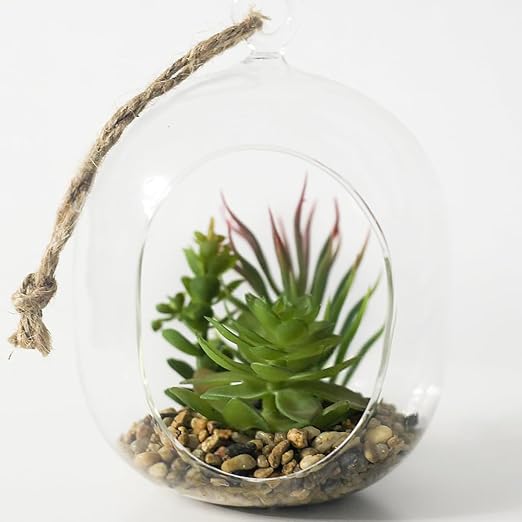 5LB Succulent and Cactus Gravel Pebbles, 3/8 Inch Decorative Polished Stones, River Rocks for Plants, Vases, Aquariums, Terrarium and Outdoor Gardening, Natural