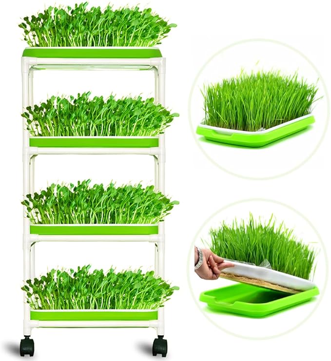 4 Layers Sprout Trays with Extra Strength Plastic Shelf Soil-Free Healthy Wheatgrass Seeds Grower & Storage Trays for Garden Home Office