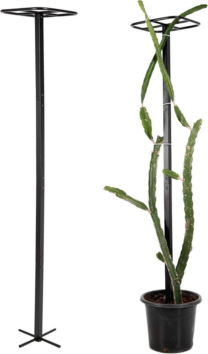 63" Metal Dragon Fruit Trellis – Durable Outdoor Garden Support for Climbing Plants, Easy Assembly Vertical Structure, Ideal for Dragon Fruit Growers