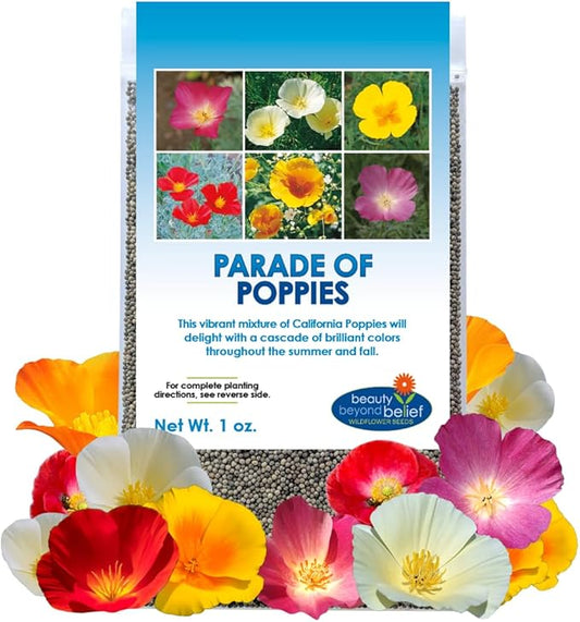 Parade of Poppy Wildflower Seeds - 1oz, Open-Pollinated Flower Seed Mix Packets, No Fillers, Annual, Perennial Wildflower Seeds, Year Round Planting - 1 oz