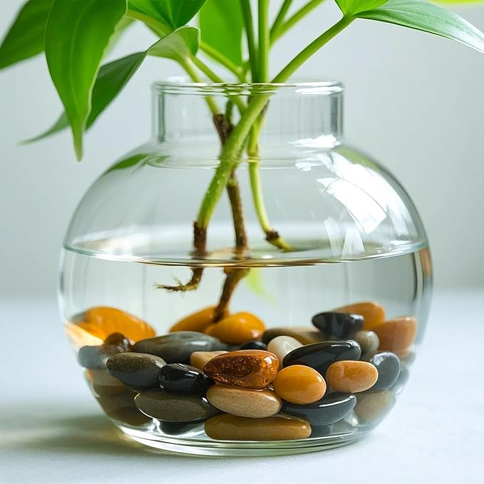 1 Pack 5 Lbs Random Color River Rocks for Plants,0.8-1.5 Inch Decorative Ornamental Pebbels, High Polished Stones for Garden Landscaping, Smooth Gravel Filler, Succulents, Fish Tank, Yellow/White