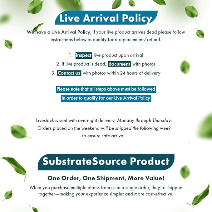 SubstrateSource Live Plants – Anubias Nana Petite (Anubias barteri VAR. Nana 'Petite') – Low to Moderate Light, Deep Green Tiny Rounded Leaves, Foreground Placement - Planted Decor, 3 Pack