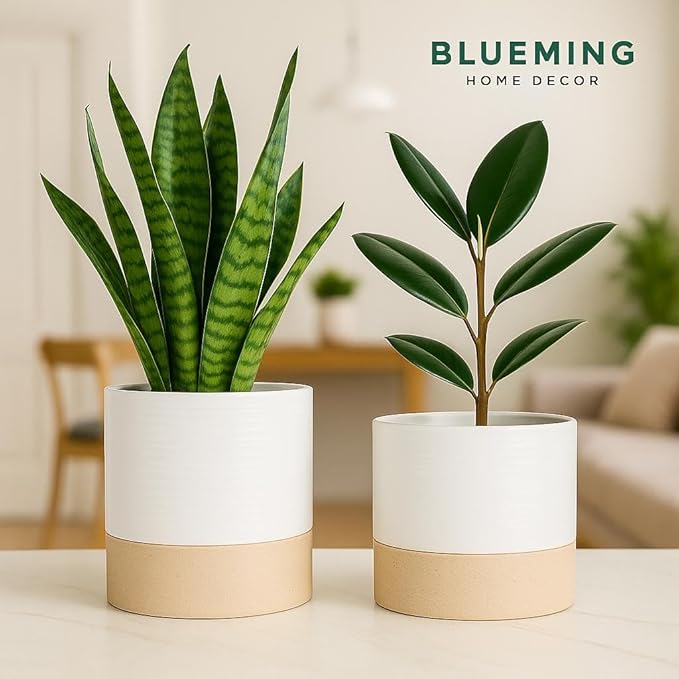 Self Watering Planter – 6 Inch Ceramic Plant Pots for Indoor House Plants with Drainage Hole & Water Storage for Succulents (White & Beige, 7" Tall)
