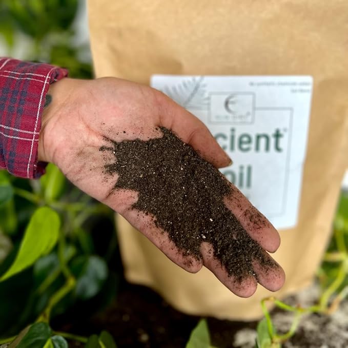 Elm Dirt Premium Ancient Soil for All Plants - Organic for Outdoor & Indoor Use | Garden Soil for Plant Nutrients Growth & Protect from Bugs - Roots Organic (6lbs)