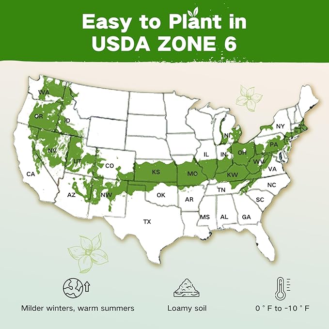 Lush&Dew Year-Round USDA Zone 6 Heirloom Survival Seed Kit, 32 Varieties 32,000+ Seeds for Planting Vegetables Herbs, Gardening Gifts for Women Men, Raised Garden Bed, Greenhouse Indoor Outdoor