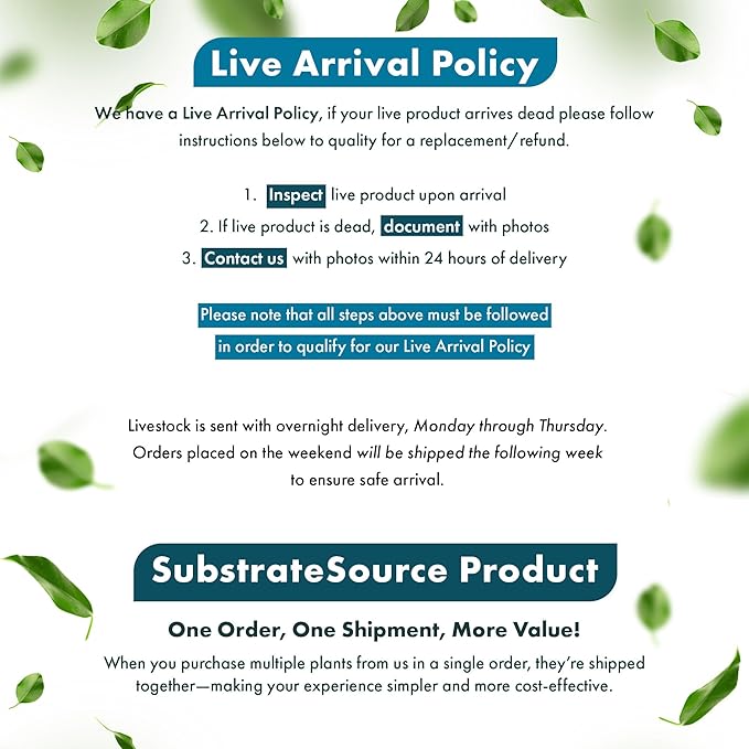 SubstrateSource Live Aquarium Plants on Driftwood, Lava Rock, Moss, Fiber Mat - Freshwater Fish Tanks - Easy, Beginner Friendly (Moss on Bonsai Tree, (Medium))