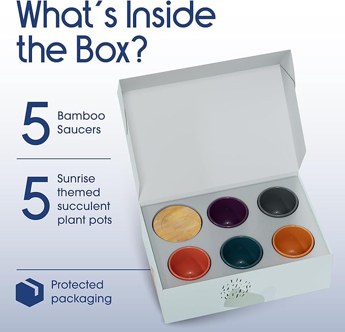 Mini Succulent Plant Pots – 2.5" Ceramic Planters with Bamboo Coasters, Set of 5 | Small Indoor Pot Set, Sunrise Color Theme, Drainage Hole, Decorative Gift Box