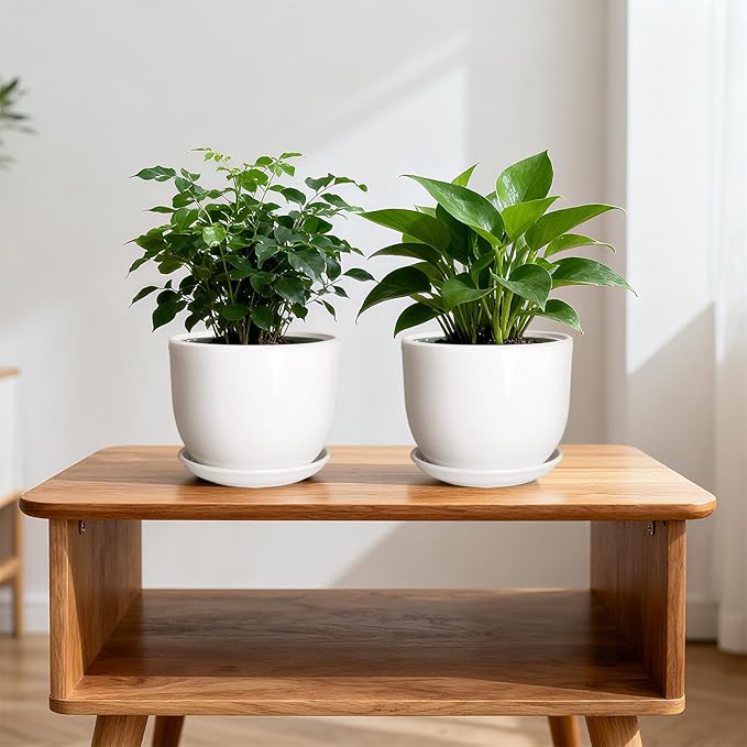 Ceramic Plant Pots,White 6.7 Inch Flower Pots for Plants,Ceramic Planter with Drainage Holes,Indoor Planter Pots with Saucer,Outdoor Garden Pots (White, 2 Pack)