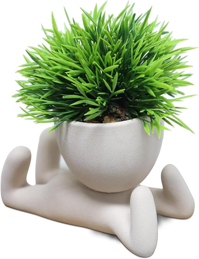 Zerzsy Mini Succulent Plant Fake Plants Succulents Plants Artificial for Home Bathroom Living Room Office Decor Cute Desktop Decoration- Set of 1