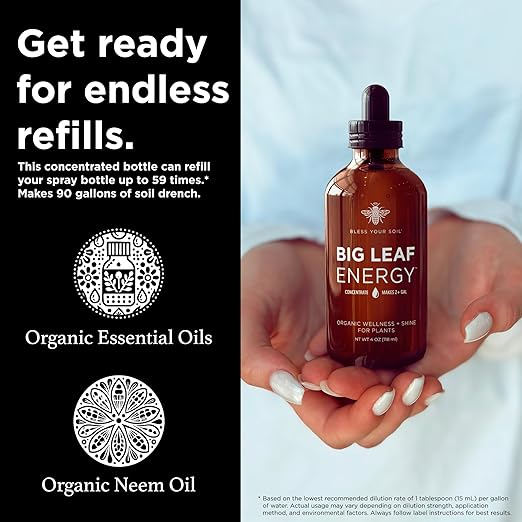 Big Leaf Energy, Neem Oil Concentrate + Essential Oils for Plants and Leaf Care - Organic, Non-GMO, Ready to Mix, Multi-Purpose Leaf Wellness (Makes 32-90 gallons)