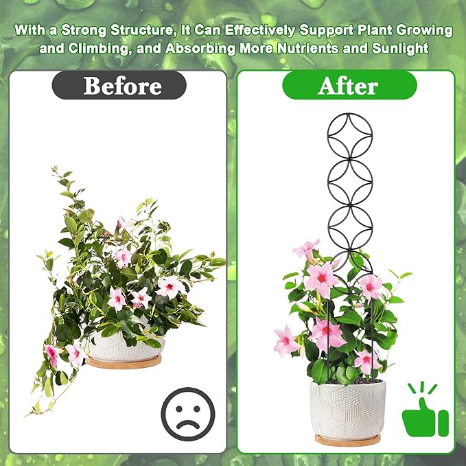24Inch Outdoor Plant Trellis for Climbing Plants,Metal Garden Trellis for Potted Plants,Plant Stakes for Indoor Plants Accessories Hoya,Flower,Plant Support,Plant Gifts (24IN-Coin)
