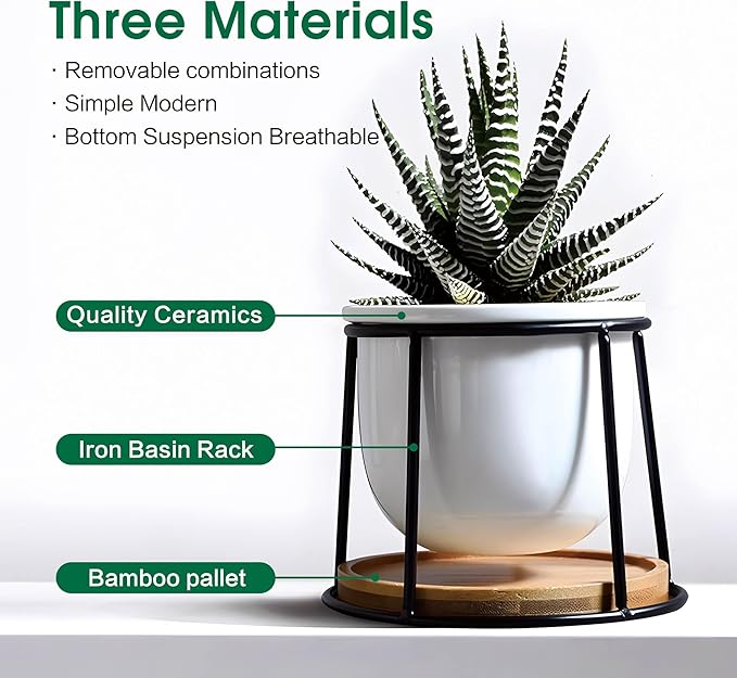 Floating Style Small Succulent Pots-3.7 Inch with Drainage and Tray, Cactus Pot, White Modern Indoor Ceramic Plant Pots (White 2)