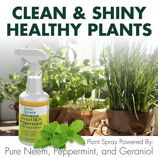 Neem Oil & Peppermint Plant Wash – Natural Leaf Cleaner & Conditioner for Indoor & Outdoor Plants – 32oz Ready-to-Use Spray