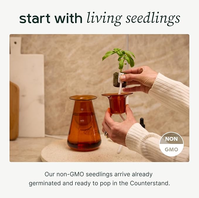 Counterstand Set – Vase Plant for Indoor Edible Garden Kit for Herbs & Lettuce – Small-Space Hydroponic System – Home Decor & Gifting – No Glow Lamp