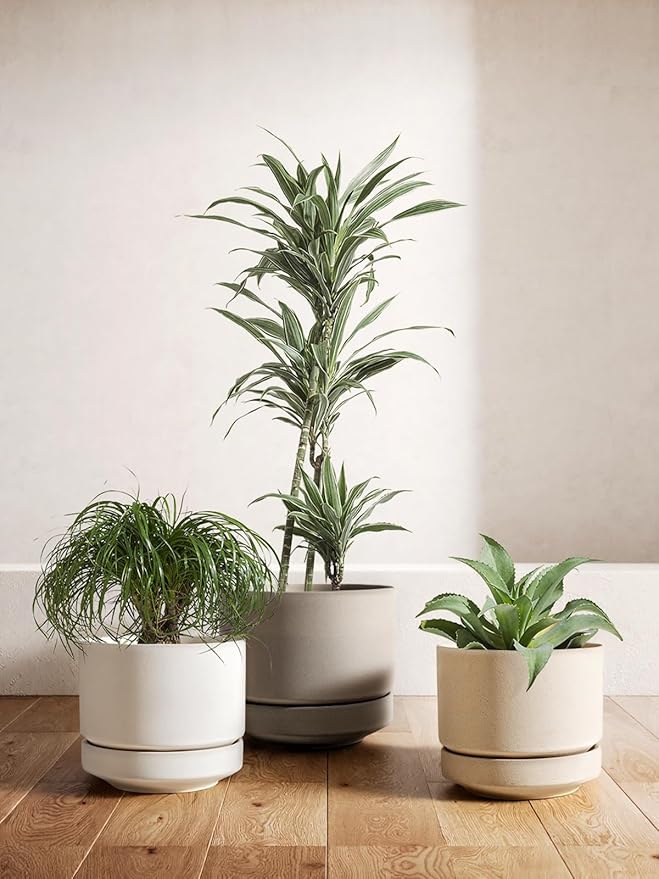 LE TAUCI 12 Inch Pots for Plants with Saucer | Ceramic Outdoor & Indoor Planter Pot for Plants | Drainage Hole, Mesh Pad & Plug | Unglazed Porous | Modern for Home, Office and Patio – Chalk White